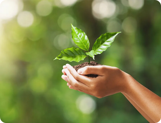 Công ty TNHH Sản phẩm y tế Giang Tô Dingshun